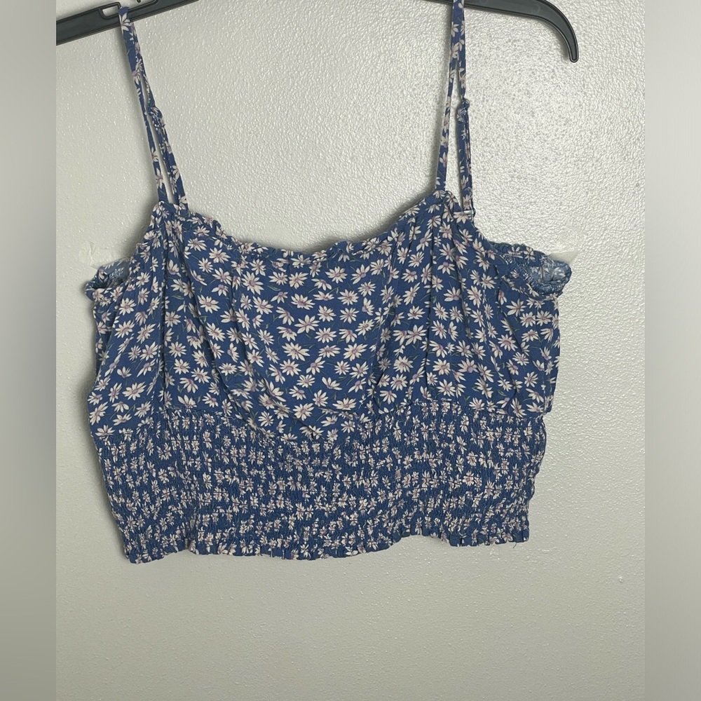 American Eagle Outfitters Blue Floral Crop Top